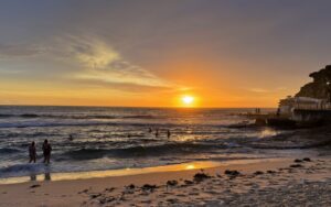 “Wandering towards dystopia”: CSIRO scientists want open discussion  of climate impacts before it’s too late